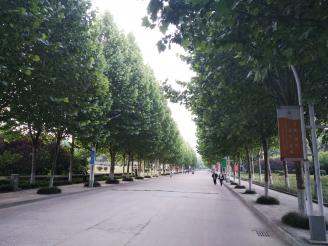 校园风景.jpg