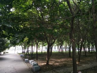 校园风景2.jpg